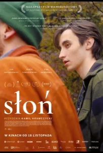 Слон (фильм 2022)