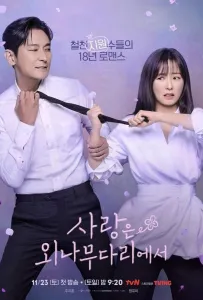 Возлюби врага своего / Любовь на узком мостике (сериал 2024)