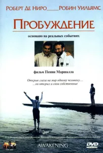 Пробуждение (фильм 1990)